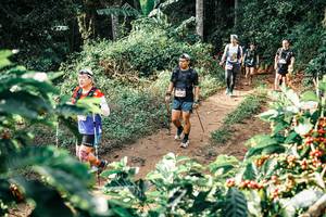 BIB: 
                            <button type="button" onclick="openModal(25852258)" class="btn btn-primary btn-sm float-right btn-popup" data-toggle="modal" data-target=".modal-high-quality">
                        <i class="fas fa-shopping-cart"></i> Add to Cart
                    </button>
                                            <button type="button" onclick="isThisMe(25852258, true)" class="btn btn-success btn-sm float-right btn-popup btn-isme hidden" data-toggle="tooltip" data-placement="bottom" title="นี่คือรูปของคุณใช่ไหม คลิกที่นี่เพื่อเอาเข้าอัลบั้ม">
                        <i class="fas fa-plus"></i> Add to album
                    </button>
                    <button type="button" onclick="isThisMe(25852258, false)" class="btn btn-warning btn-sm float-right btn-popup btn-isnotme hidden">
                        <i class="fas fa-ban"></i> Remove from album
                    </button>